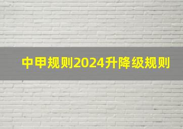 中甲规则2024升降级规则