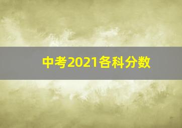 中考2021各科分数