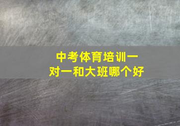 中考体育培训一对一和大班哪个好