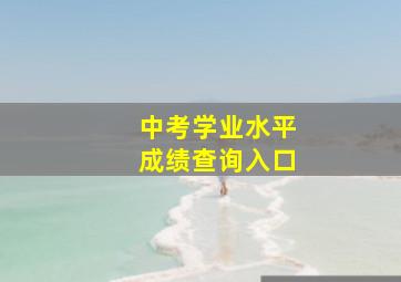 中考学业水平成绩查询入口