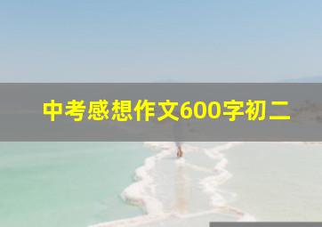 中考感想作文600字初二