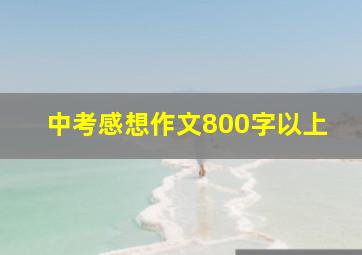 中考感想作文800字以上