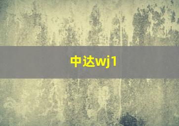 中达wj1