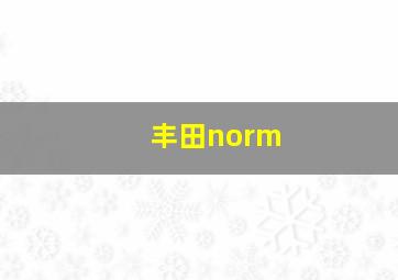 丰田norm