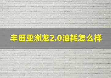 丰田亚洲龙2.0油耗怎么样