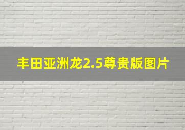 丰田亚洲龙2.5尊贵版图片