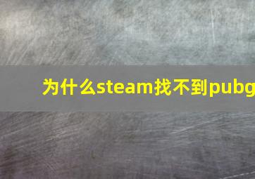 为什么steam找不到pubg