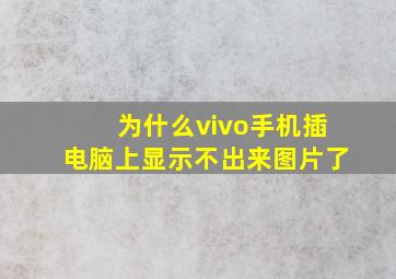 为什么vivo手机插电脑上显示不出来图片了