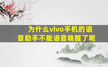 为什么vivo手机的语音助手不能语音唤醒了呢