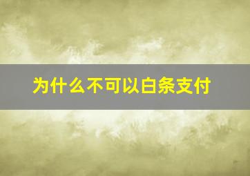 为什么不可以白条支付