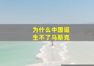 为什么中国诞生不了马斯克