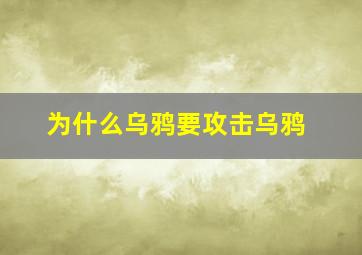 为什么乌鸦要攻击乌鸦