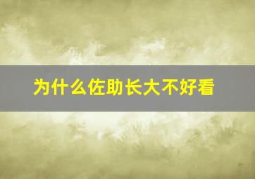 为什么佐助长大不好看