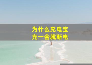 为什么充电宝充一会就断电