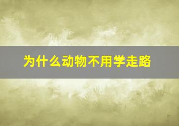 为什么动物不用学走路