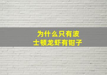 为什么只有波士顿龙虾有钳子