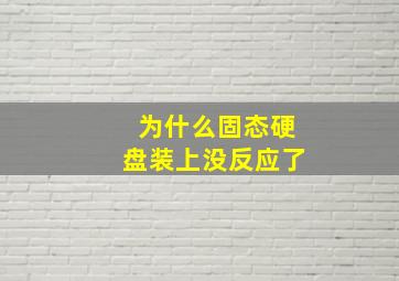 为什么固态硬盘装上没反应了