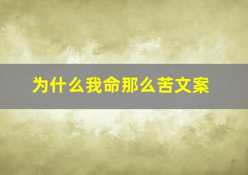 为什么我命那么苦文案