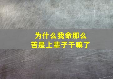 为什么我命那么苦是上辈子干嘛了