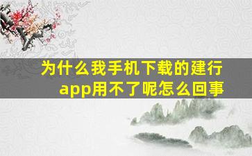 为什么我手机下载的建行app用不了呢怎么回事