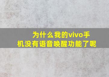 为什么我的vivo手机没有语音唤醒功能了呢