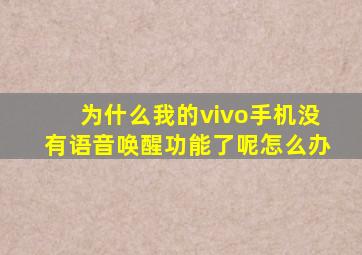 为什么我的vivo手机没有语音唤醒功能了呢怎么办