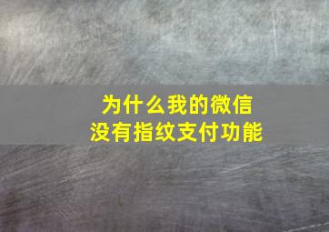 为什么我的微信没有指纹支付功能