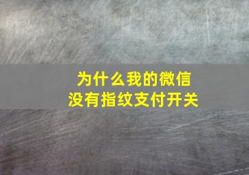 为什么我的微信没有指纹支付开关