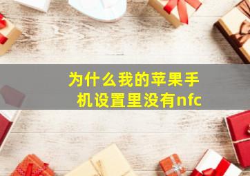 为什么我的苹果手机设置里没有nfc