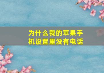 为什么我的苹果手机设置里没有电话