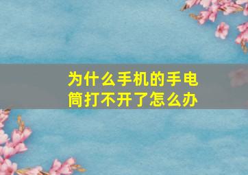 为什么手机的手电筒打不开了怎么办