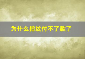 为什么指纹付不了款了