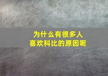 为什么有很多人喜欢科比的原因呢