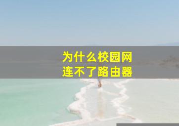 为什么校园网连不了路由器