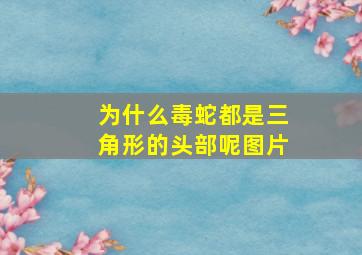 为什么毒蛇都是三角形的头部呢图片