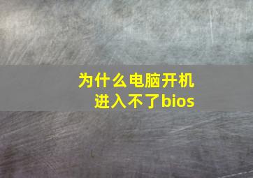 为什么电脑开机进入不了bios