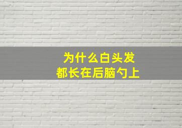 为什么白头发都长在后脑勺上