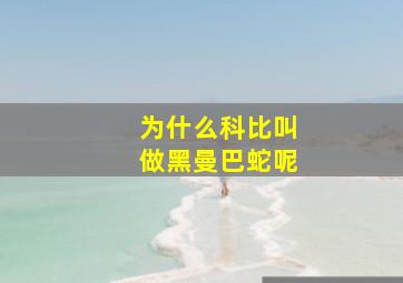 为什么科比叫做黑曼巴蛇呢