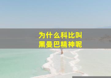 为什么科比叫黑曼巴精神呢