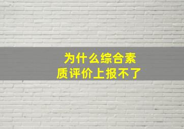 为什么综合素质评价上报不了