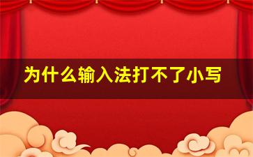 为什么输入法打不了小写