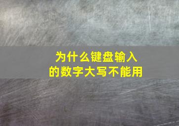 为什么键盘输入的数字大写不能用