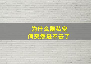 为什么隐私空间突然进不去了