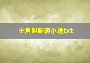 主角叫陆明小说txt