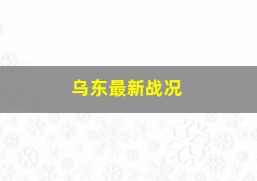 乌东最新战况