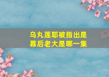 乌丸莲耶被指出是幕后老大是哪一集