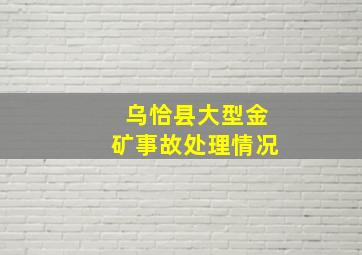 乌恰县大型金矿事故处理情况