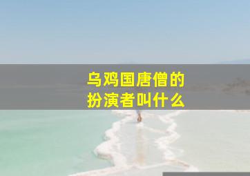 乌鸡国唐僧的扮演者叫什么