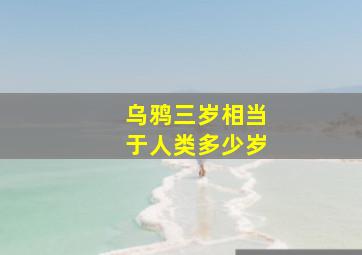 乌鸦三岁相当于人类多少岁