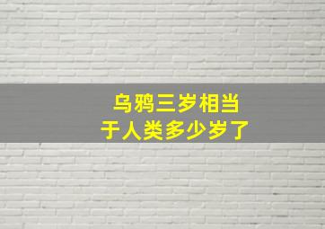 乌鸦三岁相当于人类多少岁了